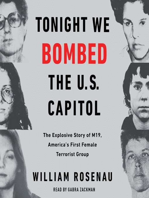 Cover image for Tonight We Bombed the U.S. Capitol